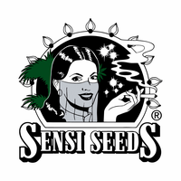 Logo of The Sensi Seed Bank