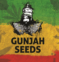 Logo of GunJah seeds