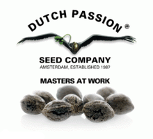 Logo of Dutch Passion
