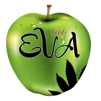 Logo of Eva Seeds
