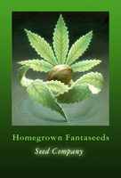 Logo of Homegrown Fantaseeds