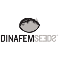Logo of Dinafem