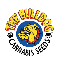 Logo of Bulldog Seeds