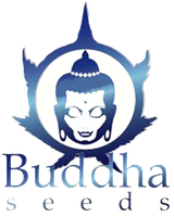 Logo of Buddha Seeds
