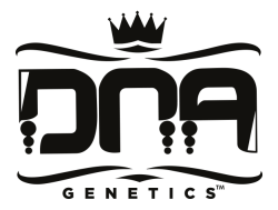 Logo of DNA Genetics